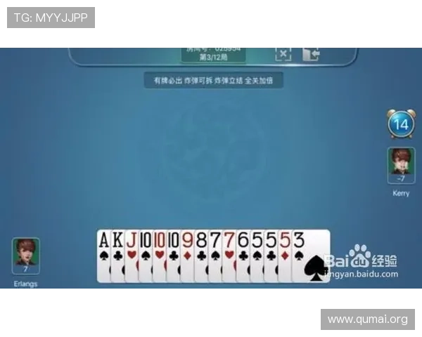 关于ng娱乐电子游戏网站的全面介绍与最新优惠活动推荐