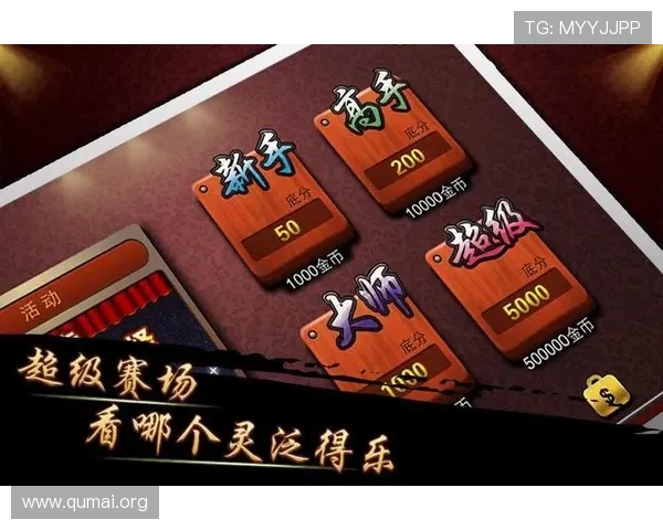 南宫28娱乐游戏攻略大全提升你的游戏水平和胜率技巧