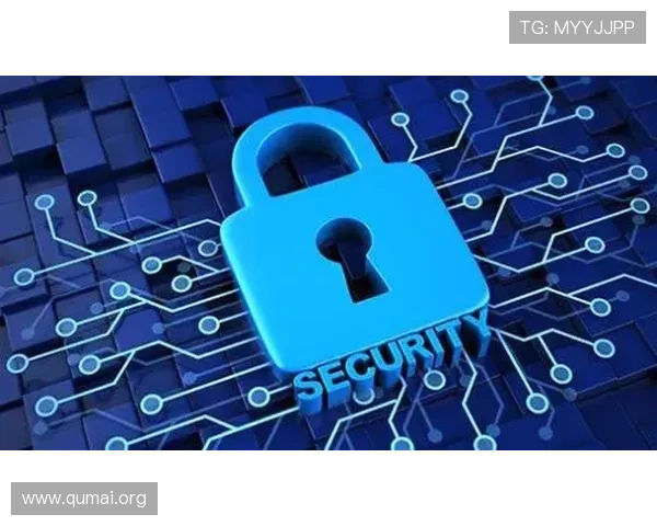 南宫28官方网站安全保障措施与玩家隐私保护策略详解