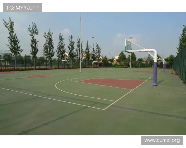 南宫体育公园的历史背景与发展历程,了解城市体育文化的深厚底蕴