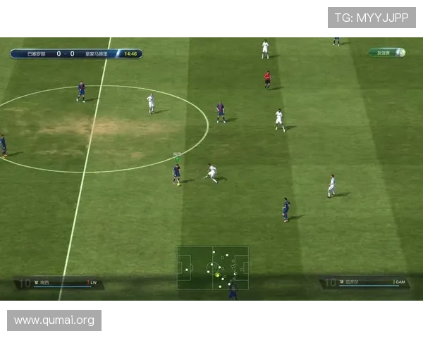 1分快3官网：2024年最新1分快3官网玩法介绍及技巧分享帮助玩家提升中奖概率