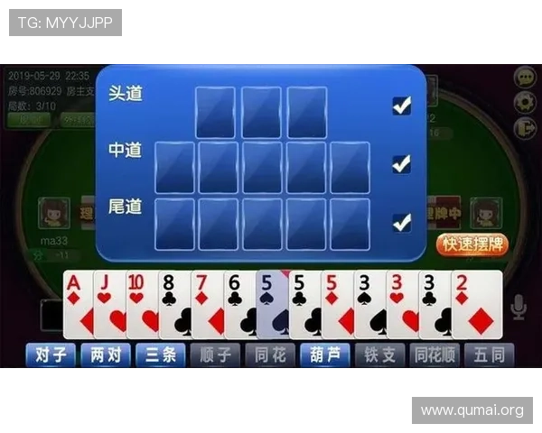 十三水玩法中的概率分析与决策技巧，增强你的胜算