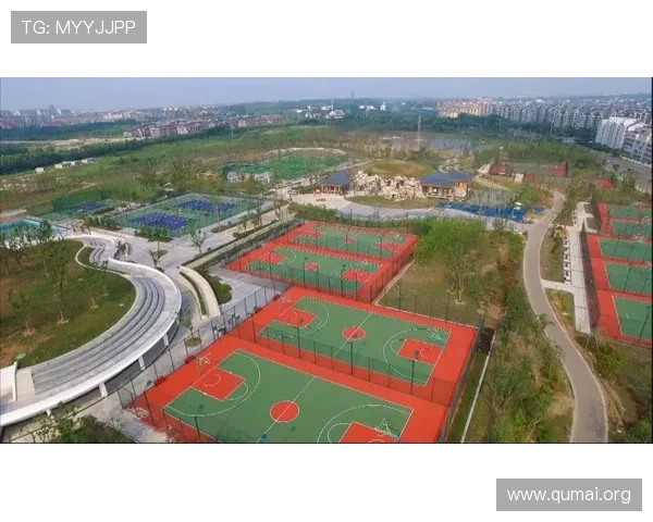 南宫体育公园举办的各类体育赛事与活动时间安排及参与方式